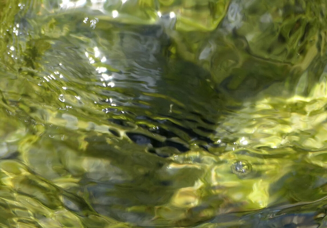 Physiotherapeut_Konstanz_Wasser_2